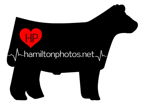 Hamilton Photography logo