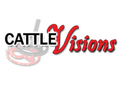 Cattle Visions Logo